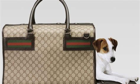 felpa gucci per cani|Oggetti e Accessori di Lusso per Animali .